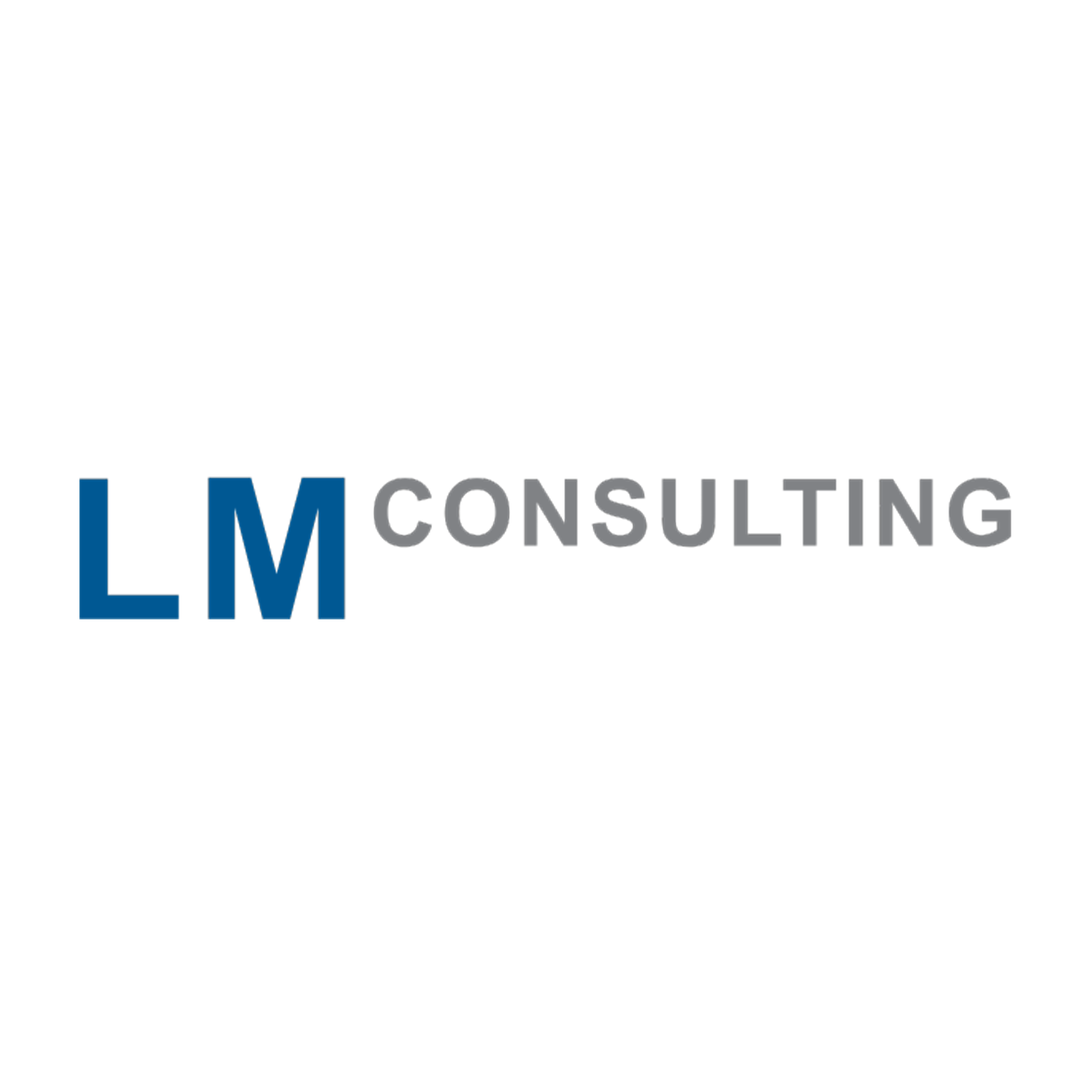 LM Consulting